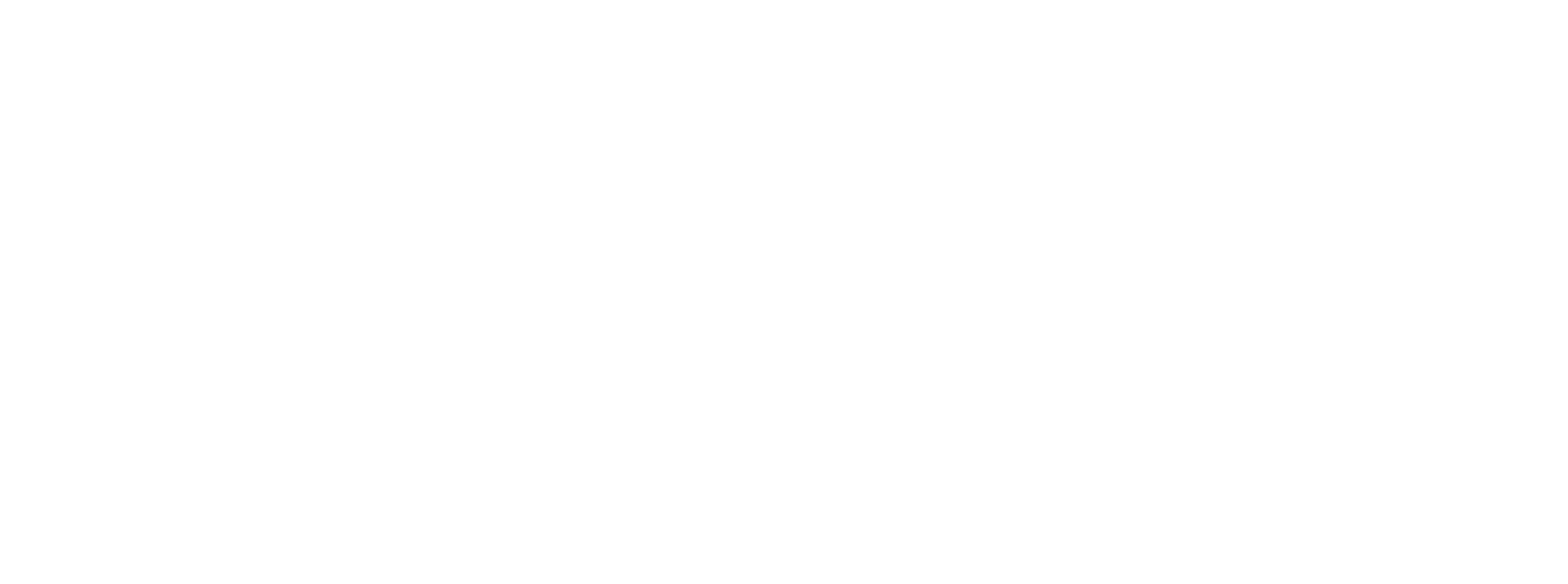 Vidra IA